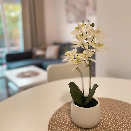 Apartment Silver Lofts Ii - Vas Mir Na Korak Od Jezera